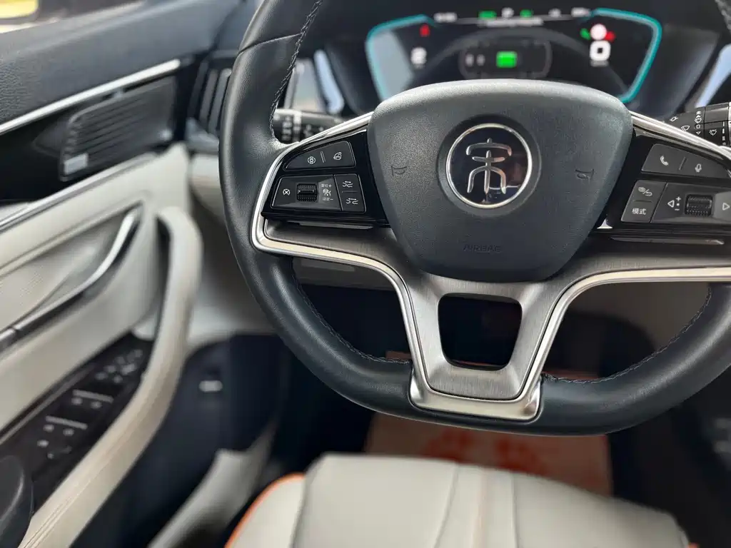 BYD PLUS New Energy — фото 21