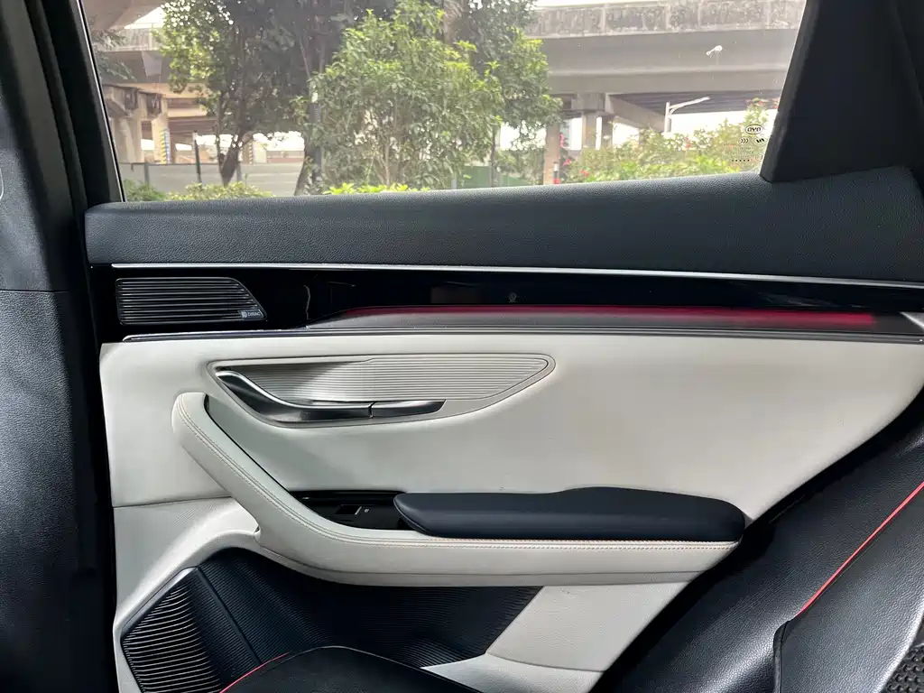 BYD PLUS New Energy — фото 24