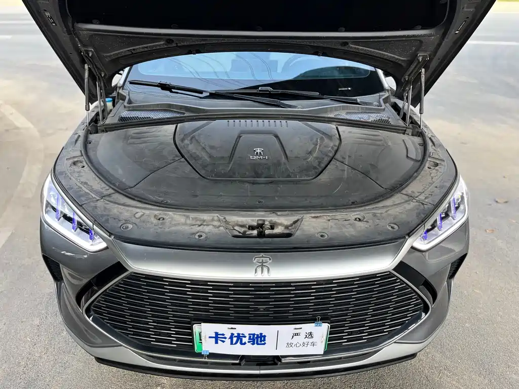 BYD PLUS New Energy — фото 29
