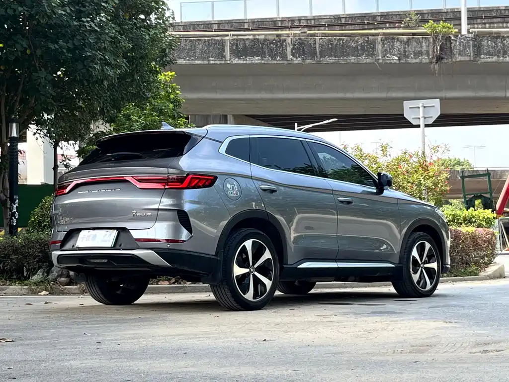 BYD PLUS New Energy — фото 4