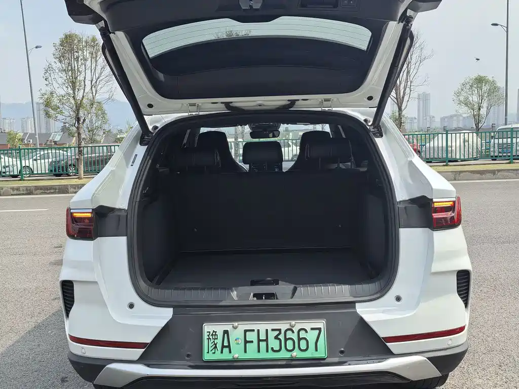 BYD PLUS New Energy — фото 15