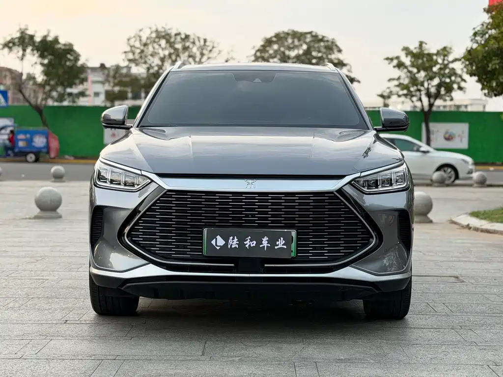 BYD PLUS New Energy — фото 2