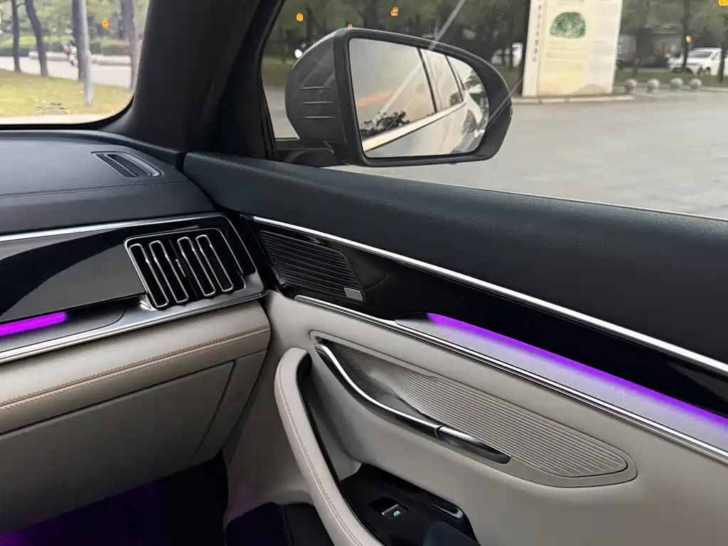 BYD PLUS New Energy — фото 11