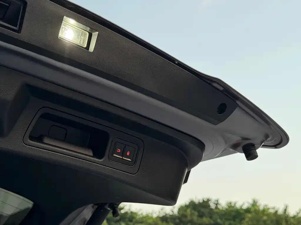 BYD PLUS New Energy — фото 17