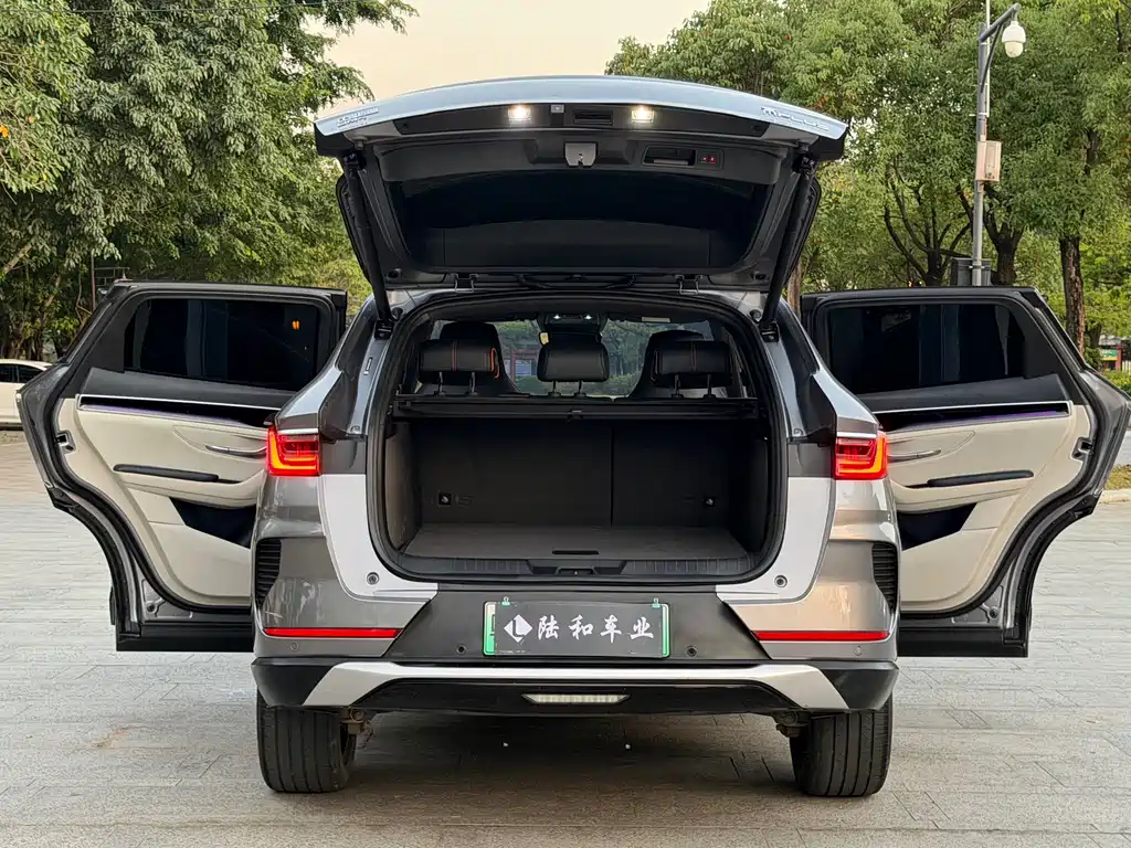 BYD PLUS New Energy — фото 18