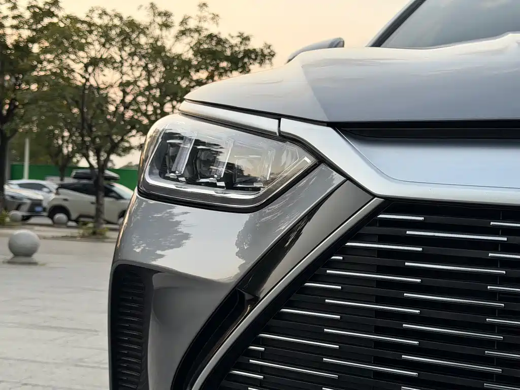 BYD PLUS New Energy — фото 19