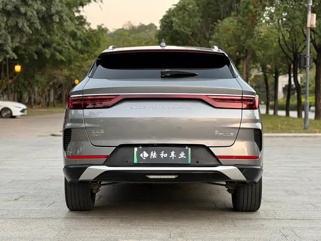 BYD PLUS New Energy — фото 23