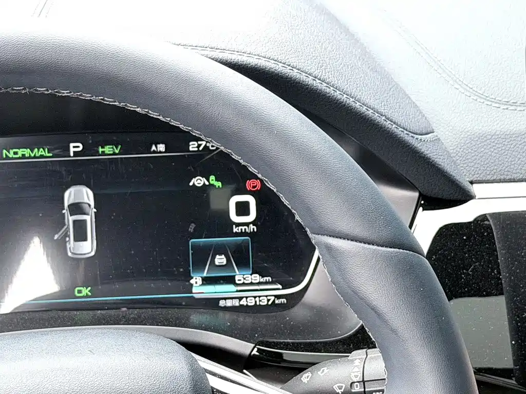 BYD PLUS New Energy — фото 4