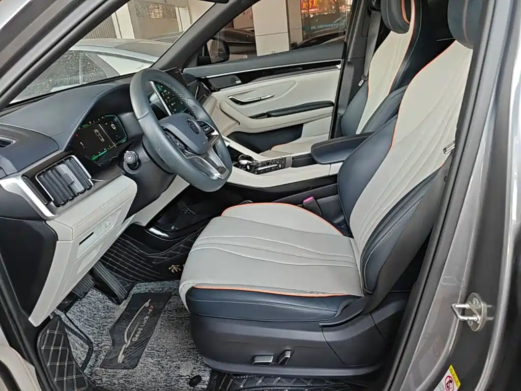BYD PLUS New Energy — фото 14
