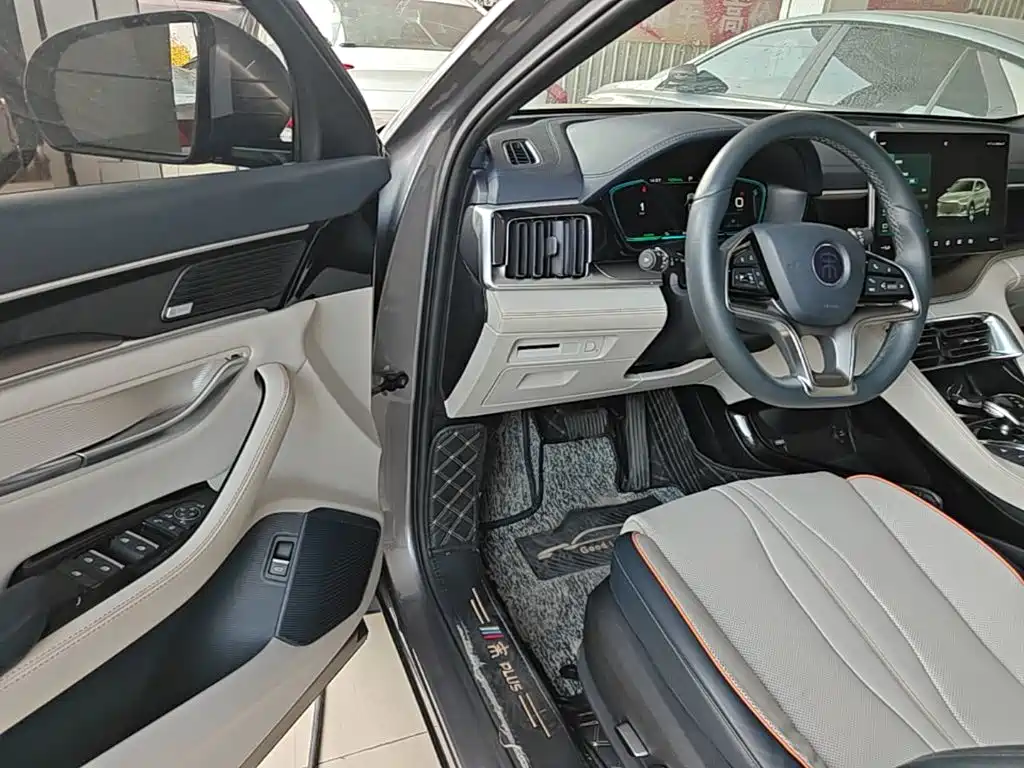 BYD PLUS New Energy — фото 15