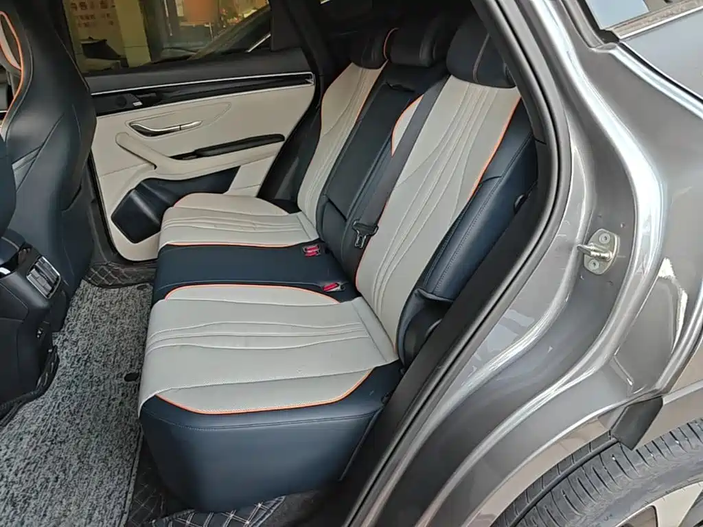 BYD PLUS New Energy — фото 16