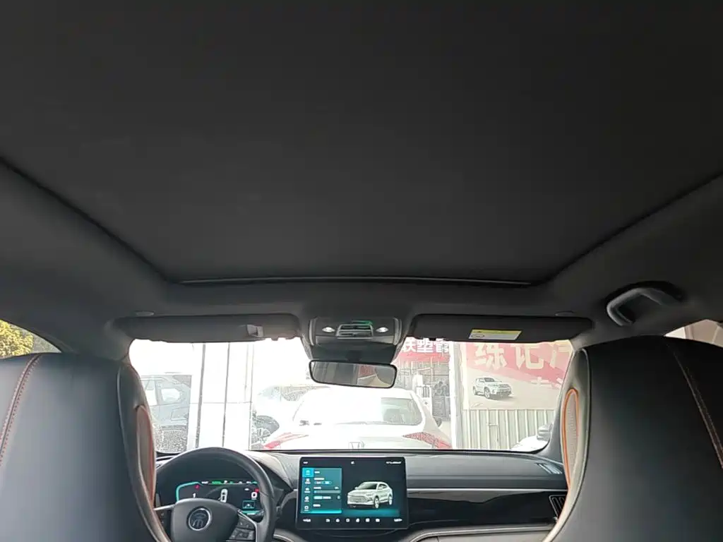BYD PLUS New Energy — фото 17