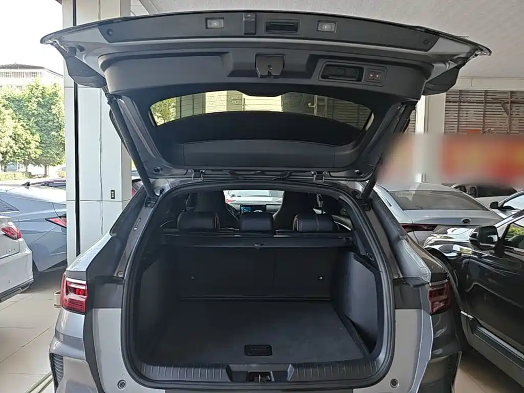 BYD PLUS New Energy — фото 18