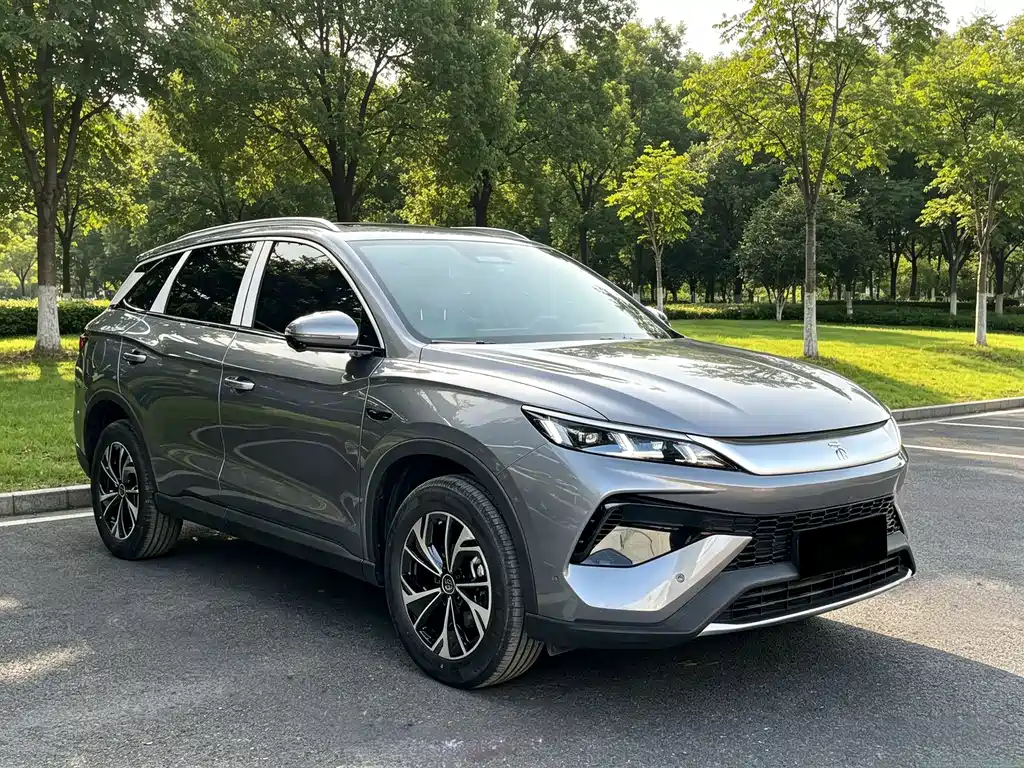 BYD Pro New Energy — фото 3