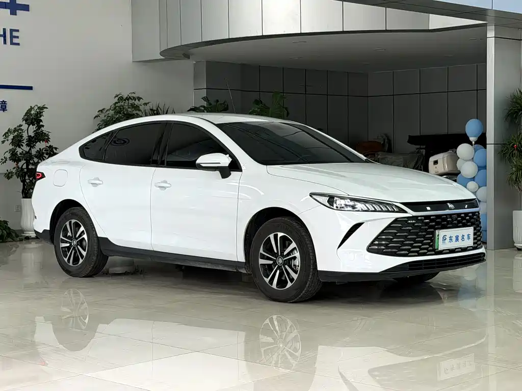 BYD Qin PLUS — фото 2