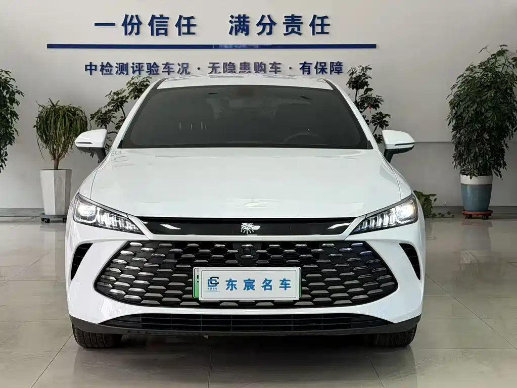 BYD Qin PLUS — фото 3