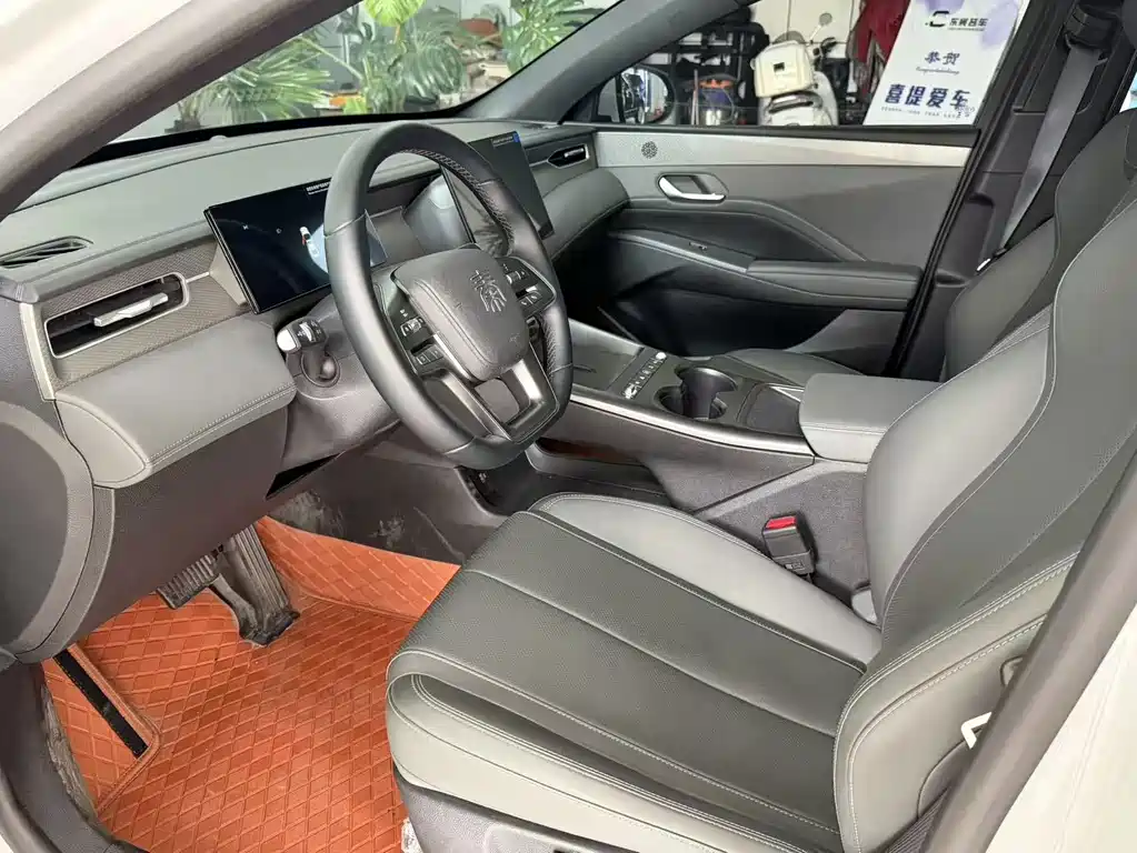 BYD Qin PLUS — фото 10