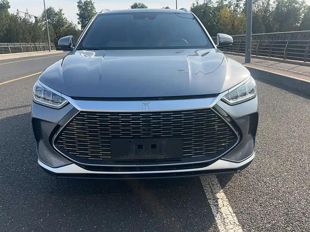 BYD PLUS New Energy — фото 4