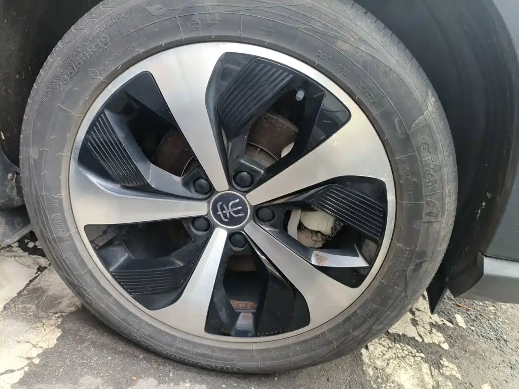 BYD PLUS New Energy — фото 25