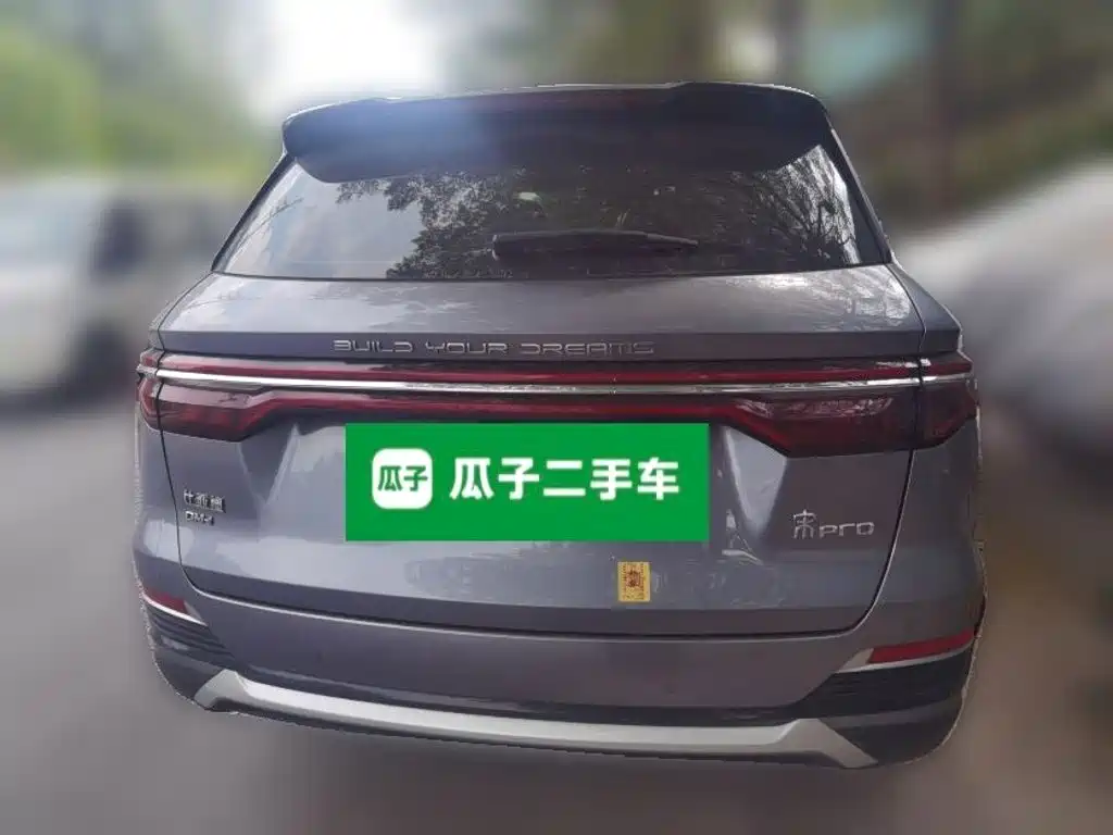 BYD Pro New Energy — фото 3