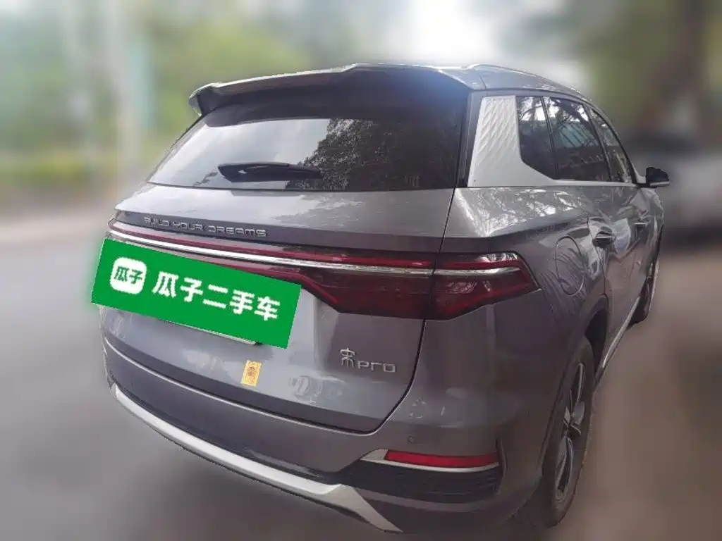 BYD Pro New Energy — фото 4
