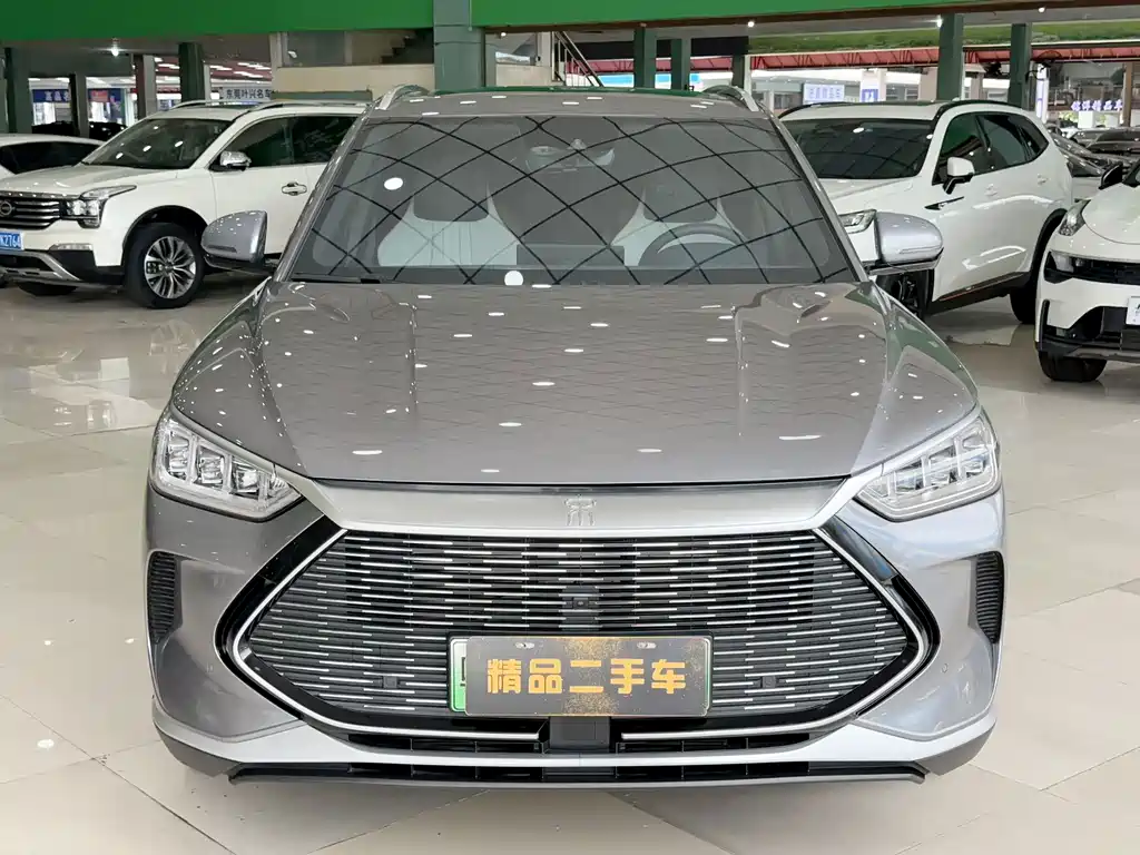 BYD PLUS New Energy — фото 2
