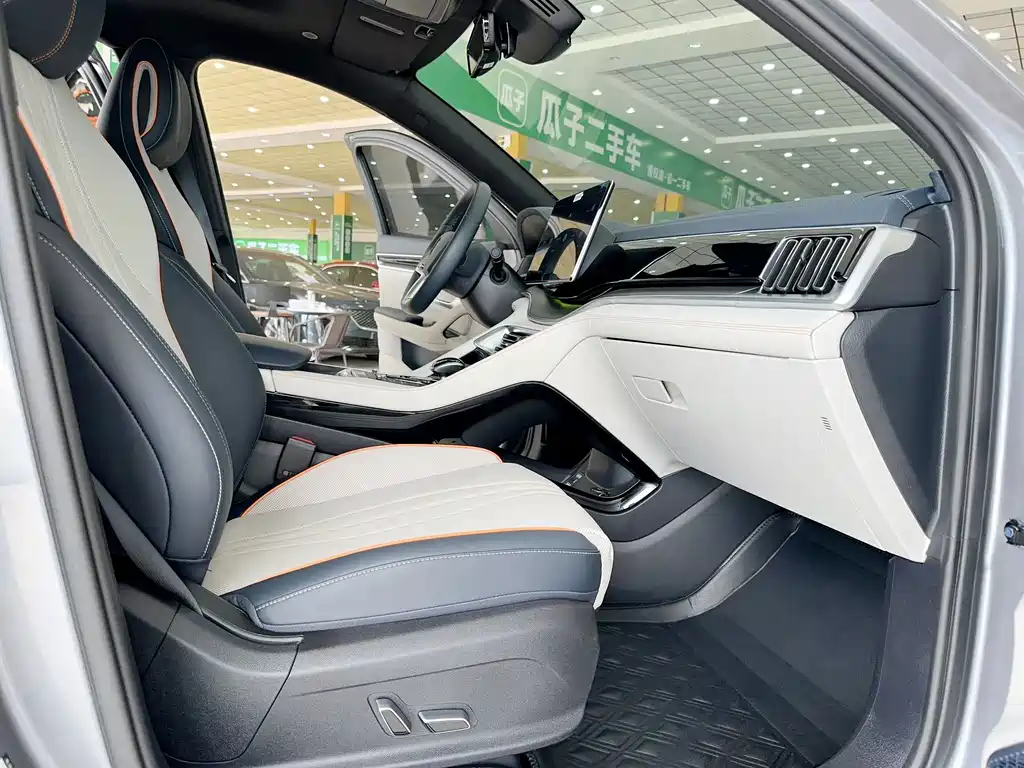 BYD PLUS New Energy — фото 11