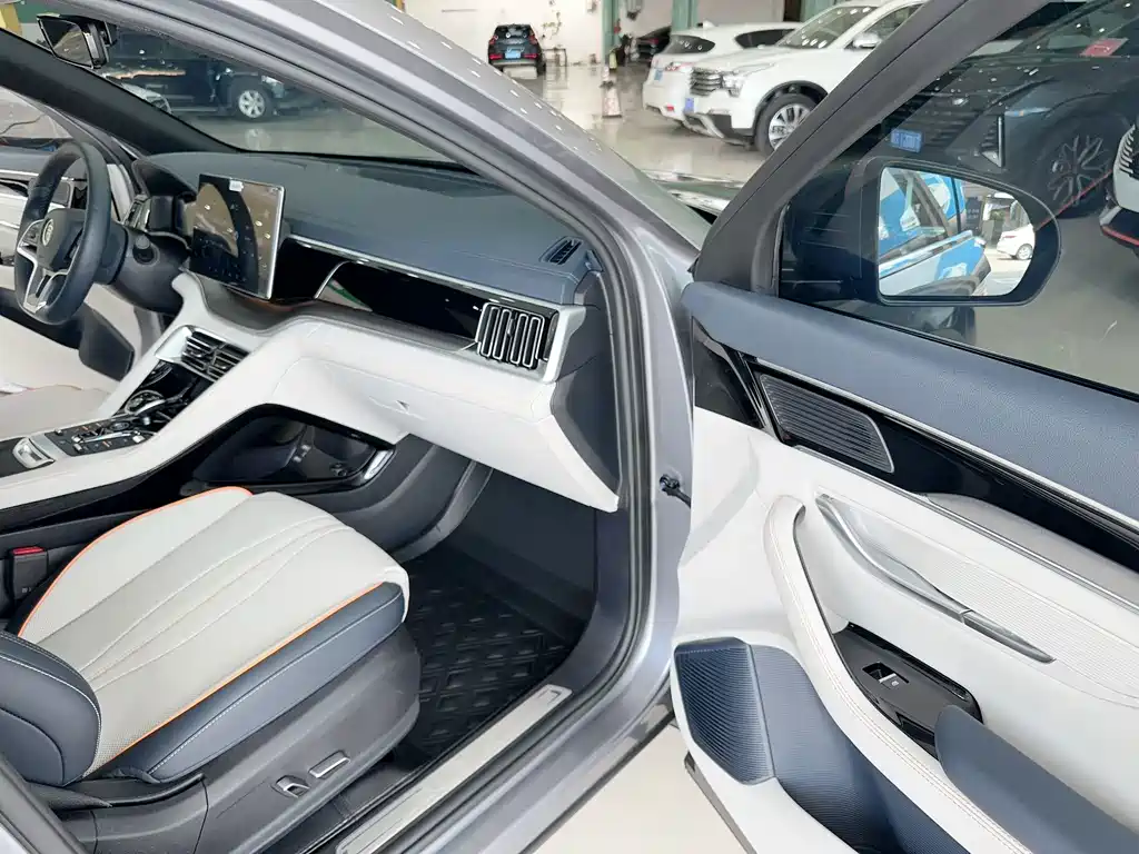 BYD PLUS New Energy — фото 13