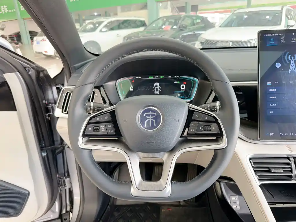 BYD PLUS New Energy — фото 21