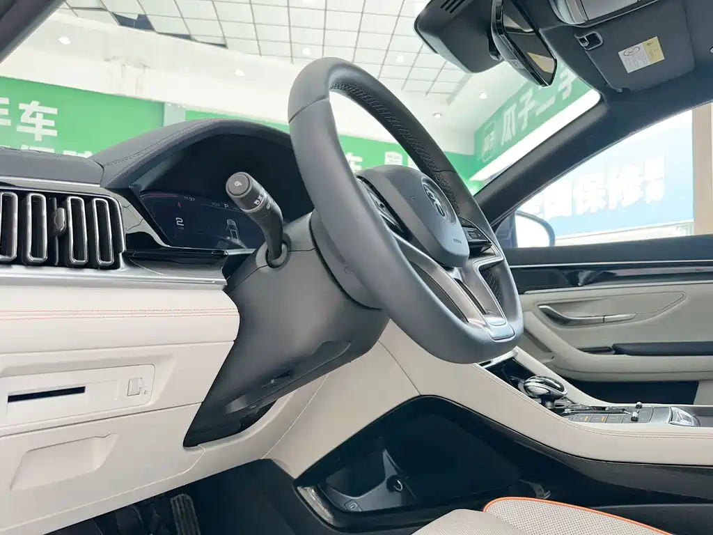 BYD PLUS New Energy — фото 8