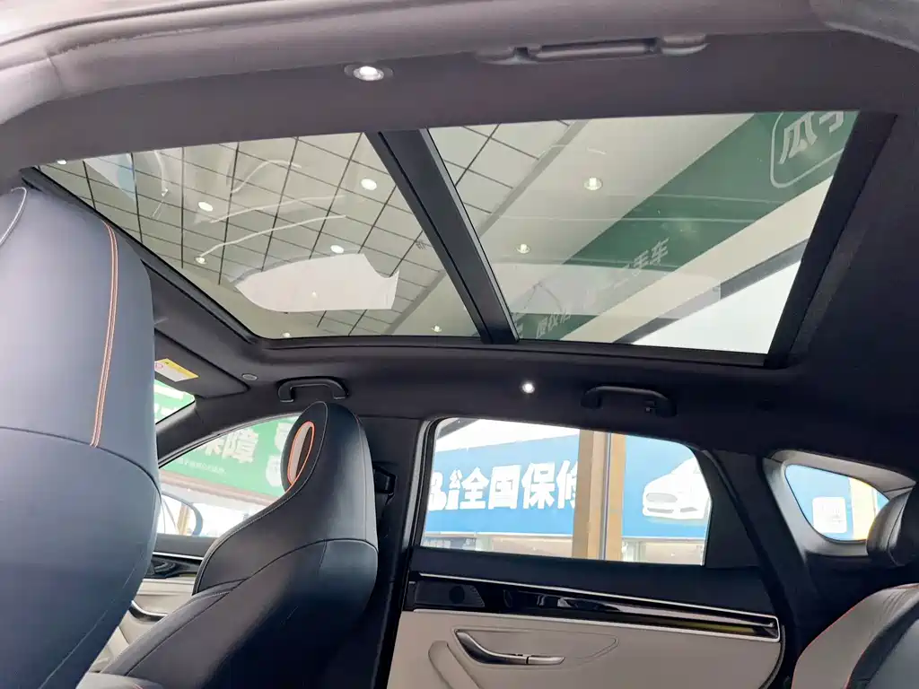BYD PLUS New Energy — фото 10
