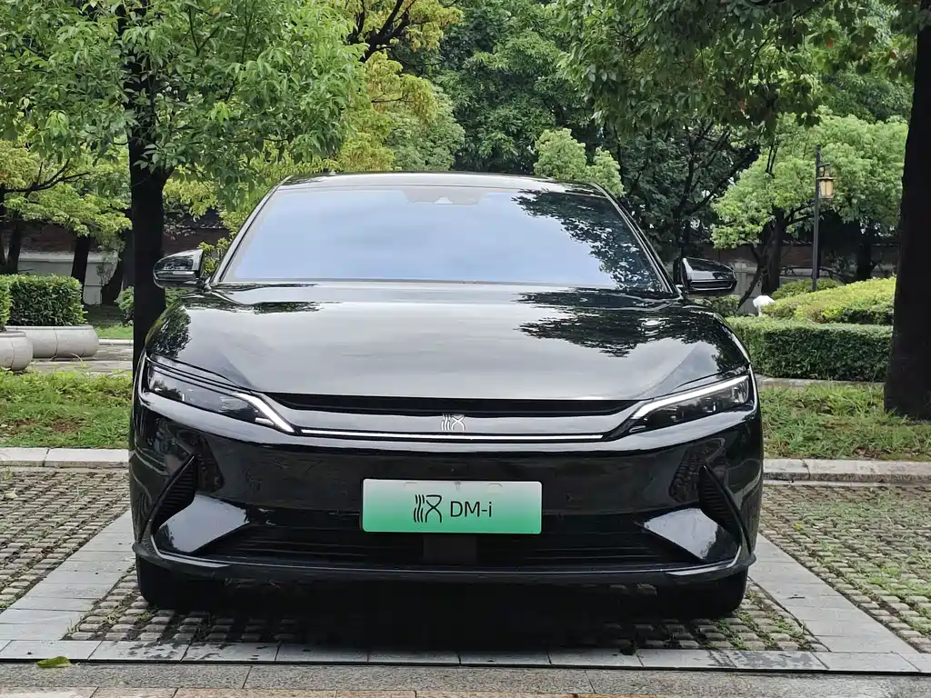 BYD Han — фото 2