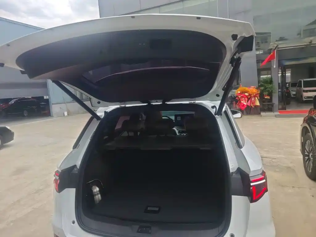 BYD Pro New Energy — фото 14