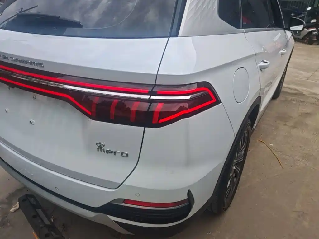 BYD Pro New Energy — фото 23