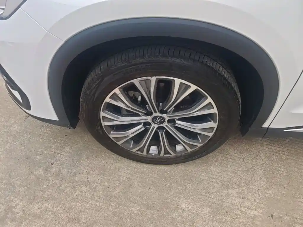 BYD Pro New Energy — фото 24