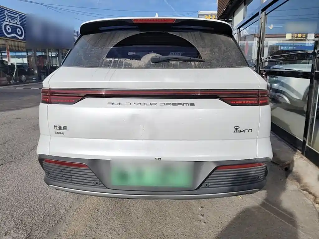 BYD Pro New Energy — фото 5