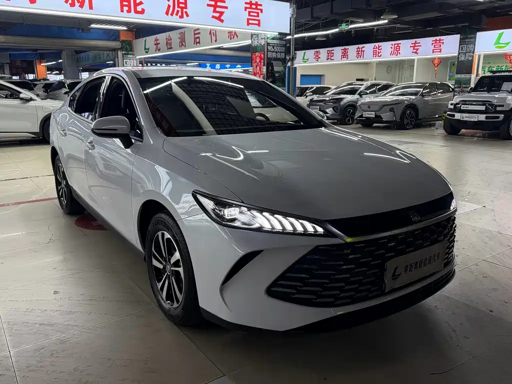 BYD Qin PLUS — фото 3