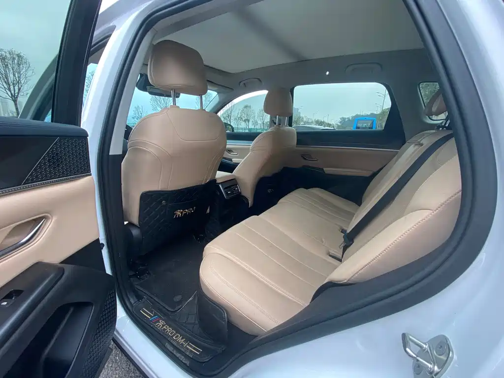 BYD Pro New Energy — фото 6