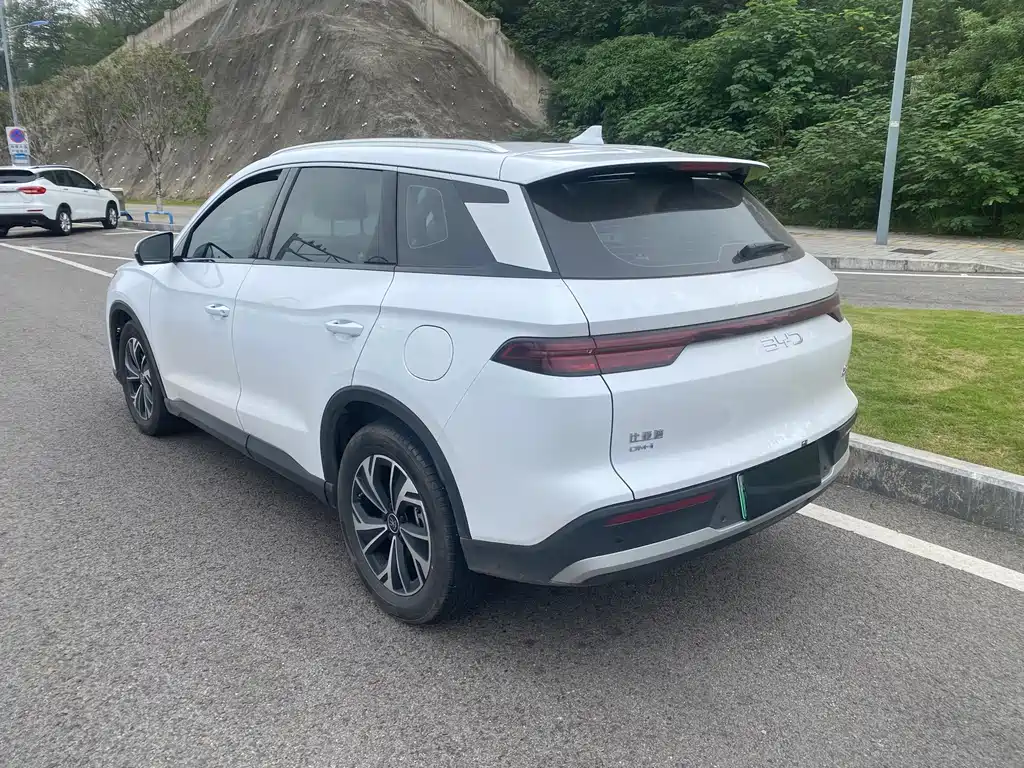 BYD Pro New Energy — фото 7