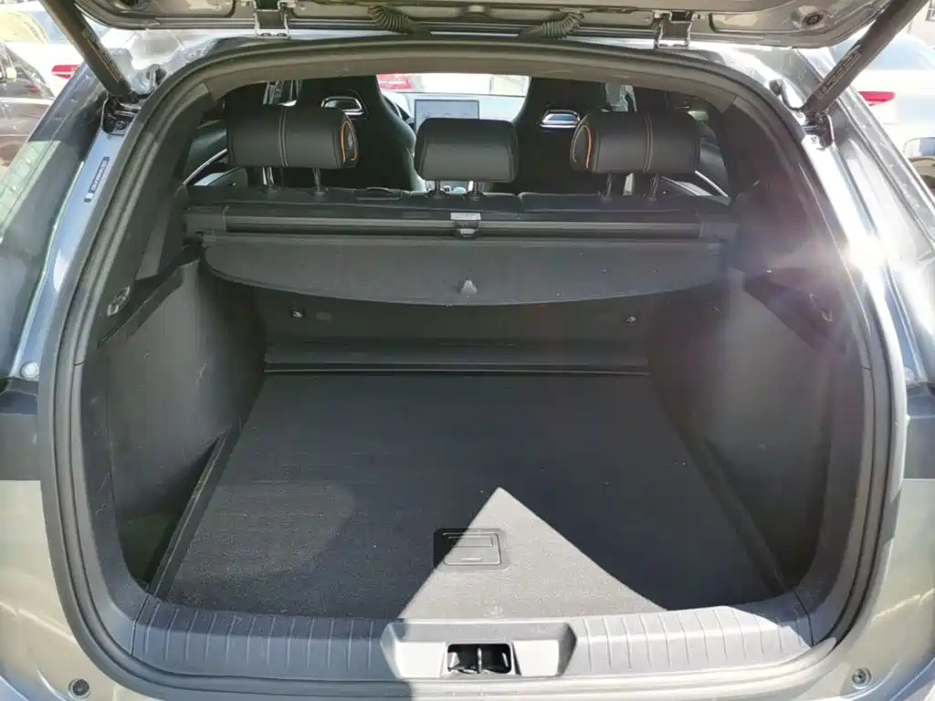 BYD PLUS New Energy — фото 18