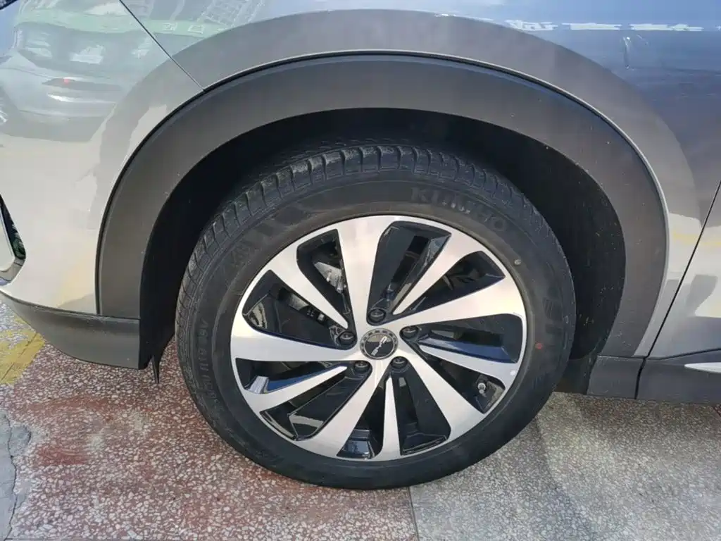 BYD PLUS New Energy — фото 22
