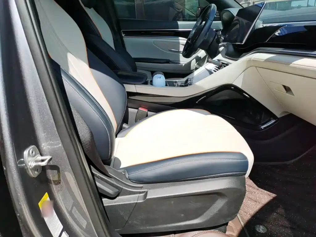 BYD PLUS New Energy — фото 24