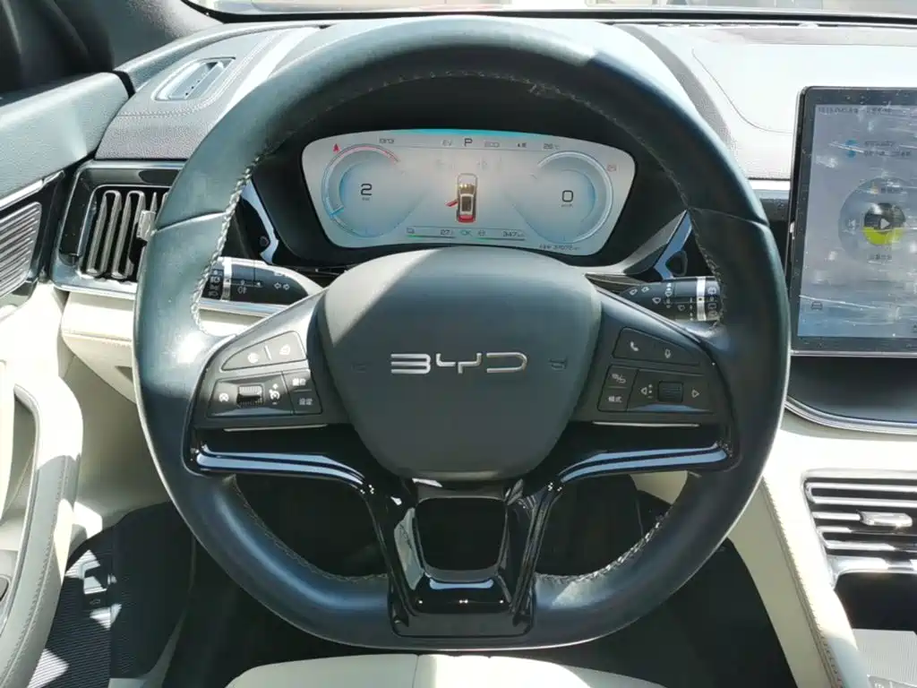 BYD PLUS New Energy — фото 10