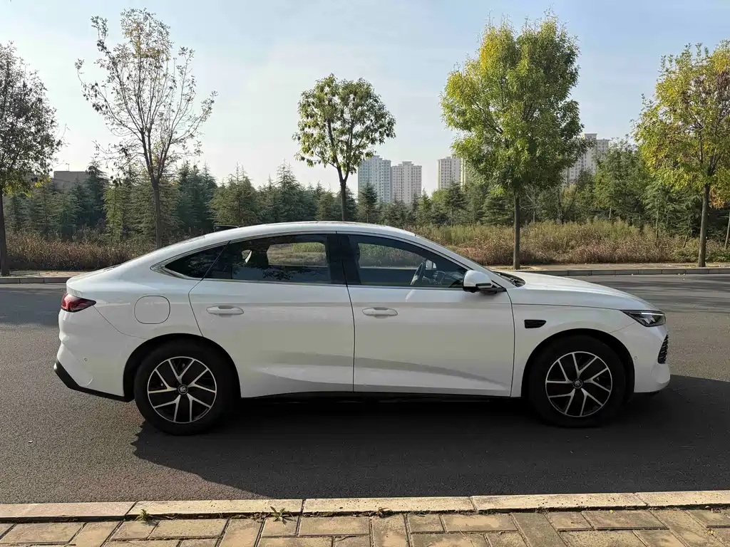 BYD Qin L — фото 3