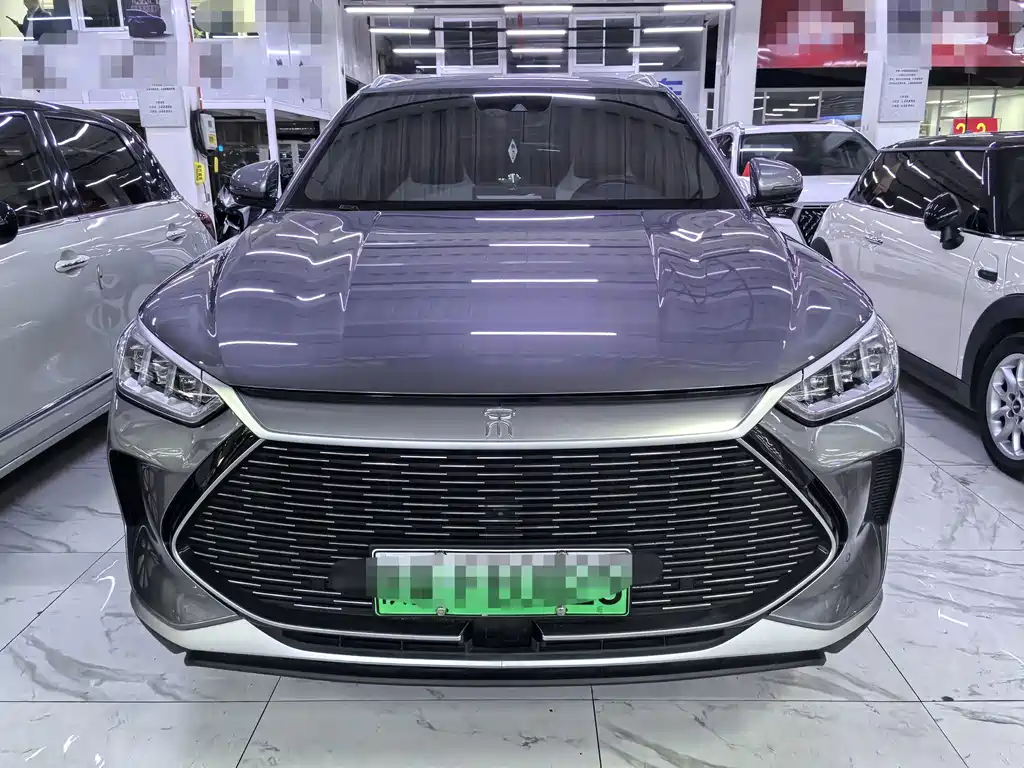 BYD PLUS New Energy — фото 2