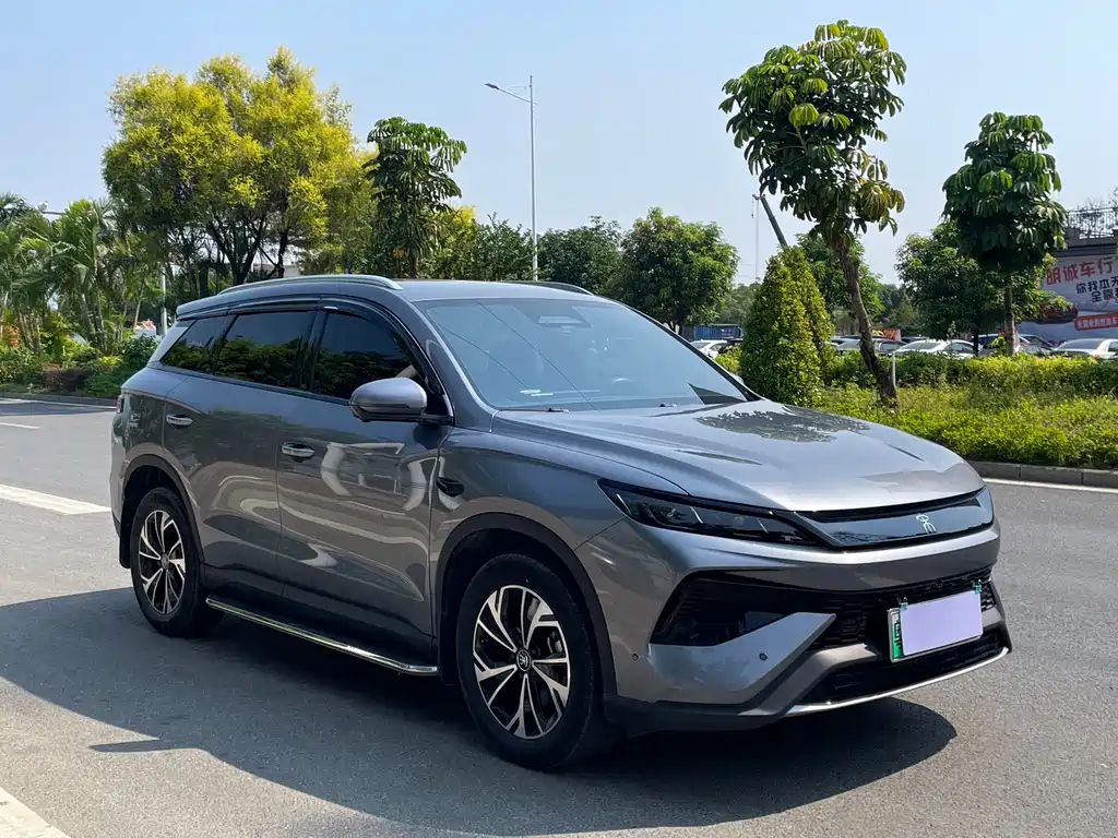 BYD Pro New Energy — фото 3