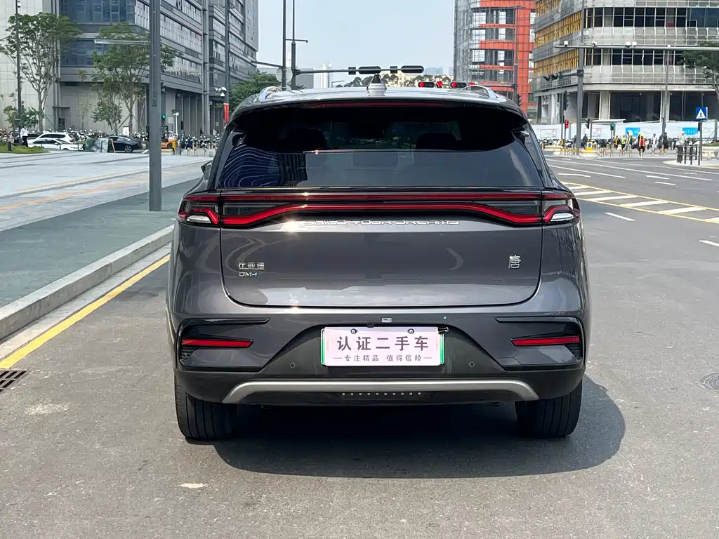 BYD Tang New Energy — фото 5