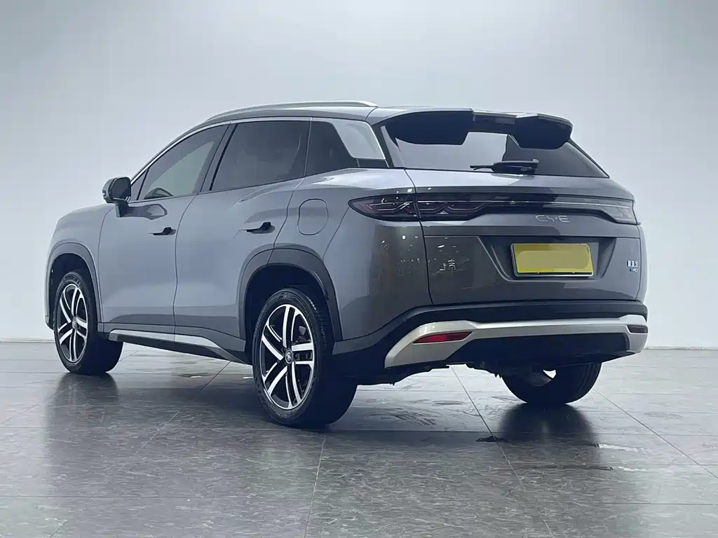BYD L DM-i — фото 6