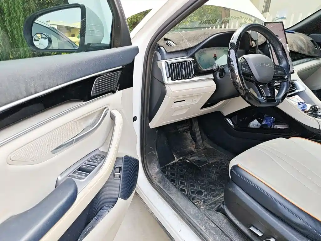 BYD PLUS New Energy — фото 13