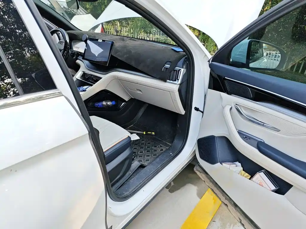 BYD PLUS New Energy — фото 17